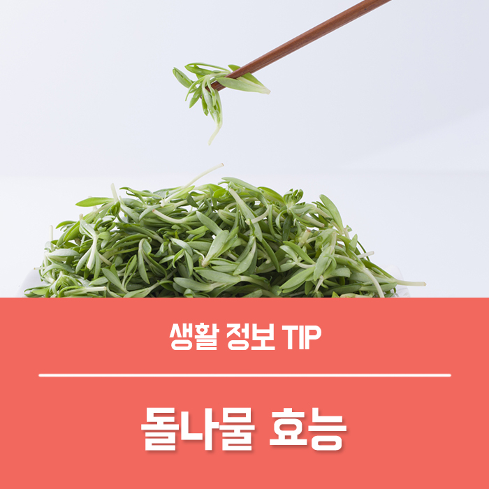 돌나물 효능 5가지, 돈나물 돗나물 효능 부작용은?