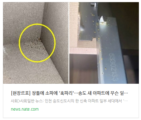 [아침뉴스] [현장르포] 창틀에 소파에 '혹파리'…송도 새 아파트에 무슨 일이