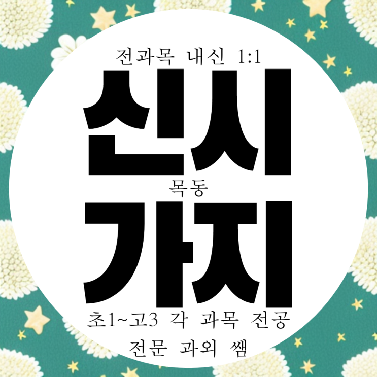  신목고 내신 관리 과외 목동 13단지 신시가지 국영수 대비 전과목 전문