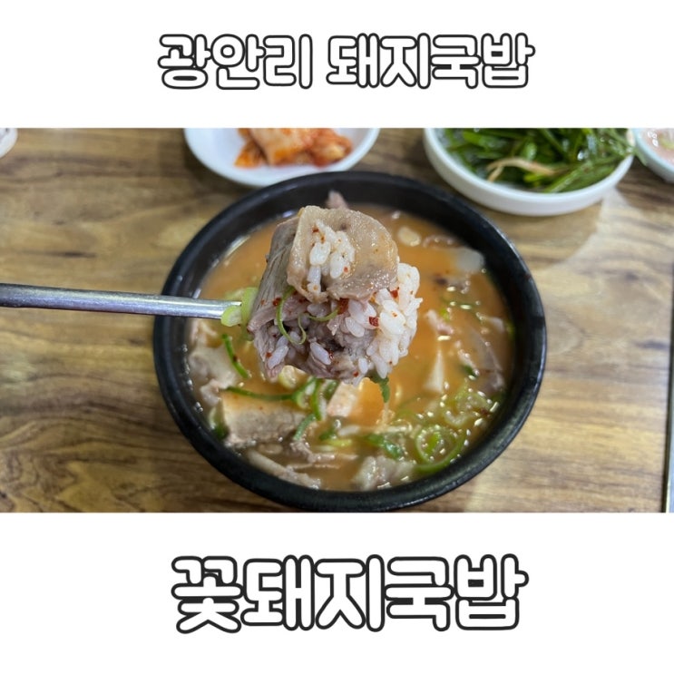 광안리 로컬 돼지국밥 맛집 꽃돼지국밥 솔직후기