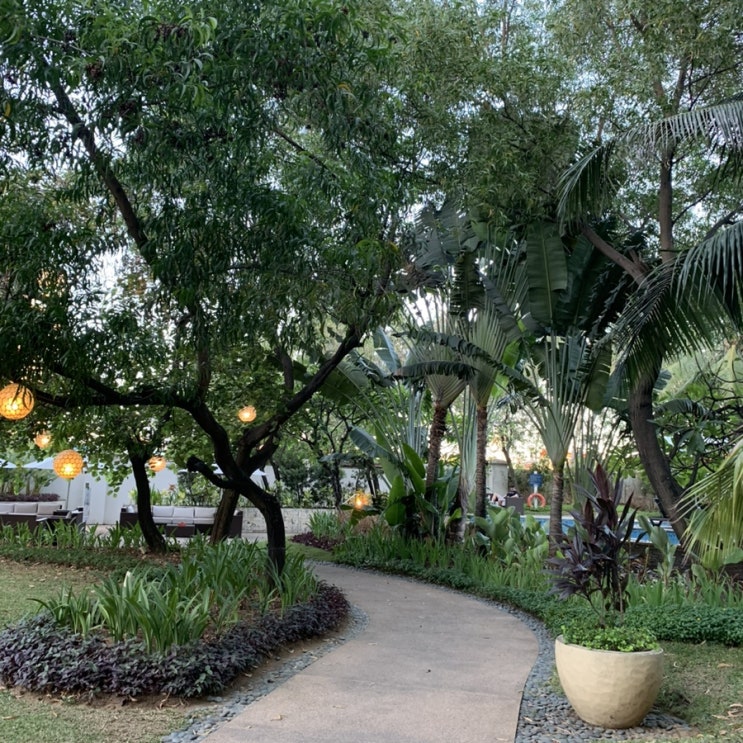  필리핀 세부 호핑투어, 래디슨블루 세부, 엄마랑 해외여행