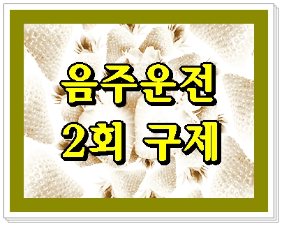  음주운전 면허취소 2회 이것 역시 신경을 써야