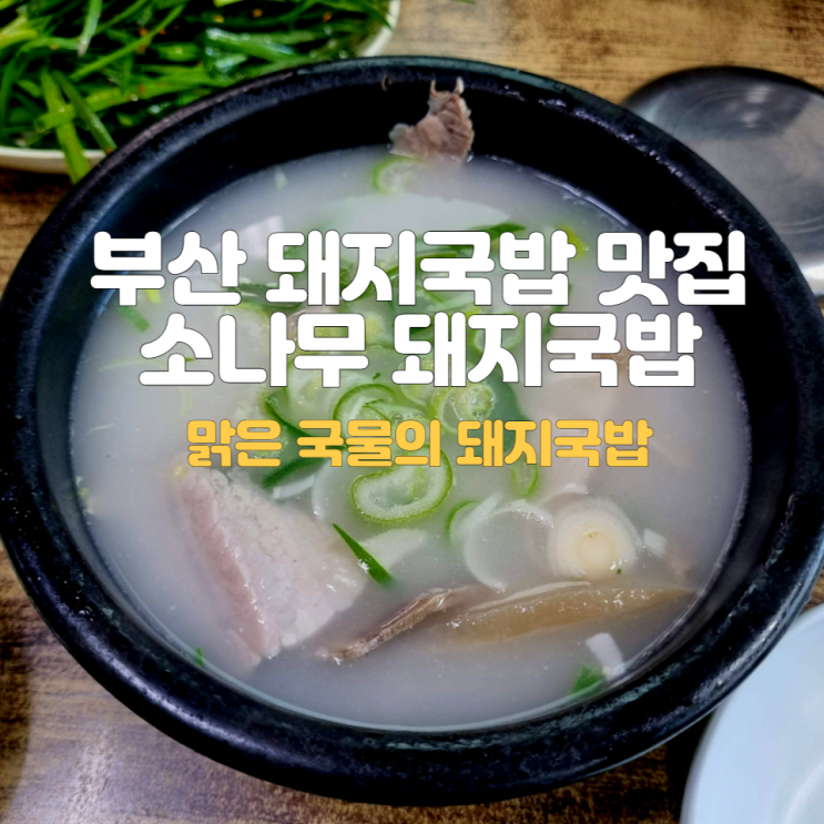 부산 구남역 돼지국밥 맛집 소나무 돼지국밥