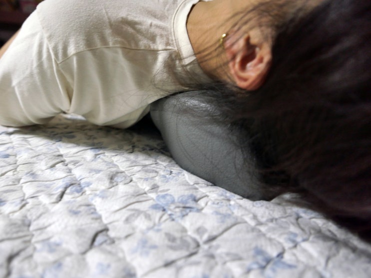  목 스트레칭 운동기구 바르너 추나추본 일자목 쿠션