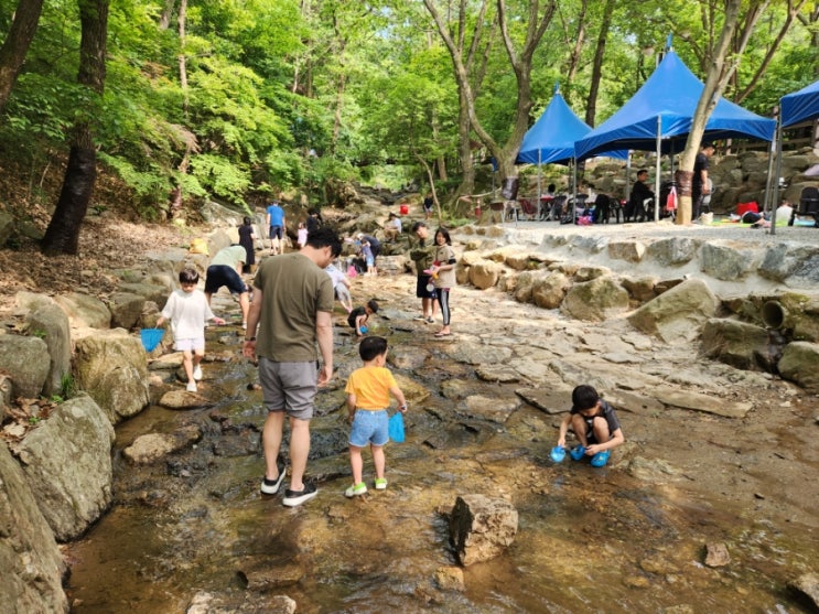  서울대공원 캠핑장 토요일 제3야영장 3-B 4살 후기 (주차, 전기카트팁)