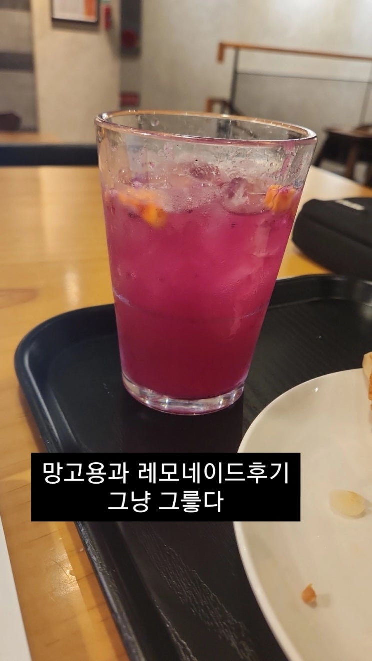  스타벅스 신메뉴 [망고 용과 레모네이드 스타벅스 리프레셔] 맛 후기
