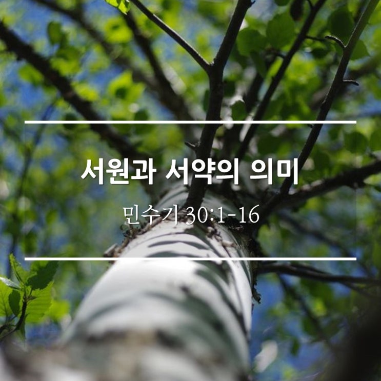  서원과 서약의 의미 / 민 30:1-16