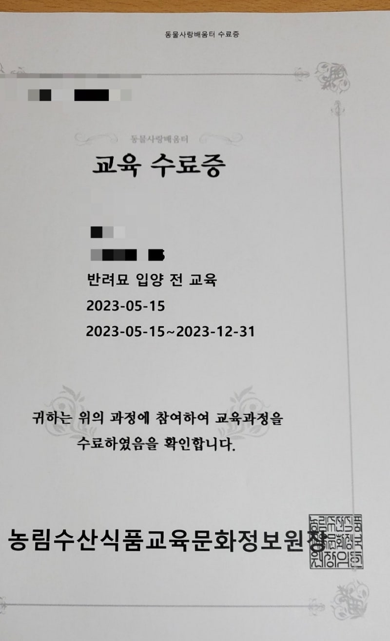 대구 유기동물보호센터 보호소 고양이 강아지 입양 [둘째는 처음이라..] 대구 유기동물 입양 ....