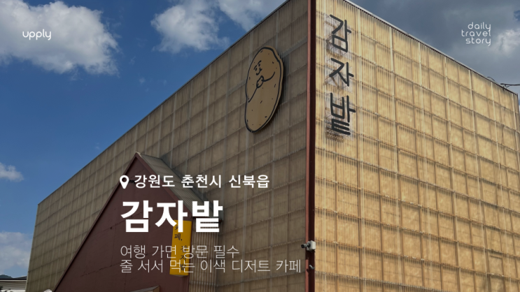  춘천 감자밭 감자빵 여행 가면 방문 필수 줄 서서 먹는 이색 디저트 카페