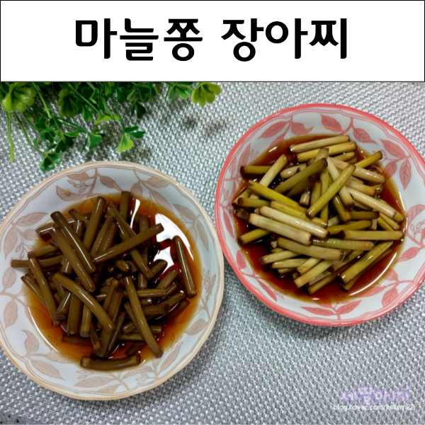  마늘쫑장아찌 담그는법 마늘종 장아찌 마늘쫑요리