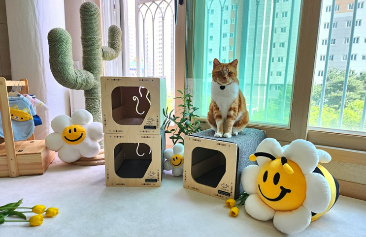  고양이 하우스 네이버펫 앰배서더가 직접 고른 그린웨일 숨숨집