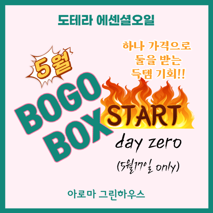  5월!! 오늘부터 도테라 보고(BOGO) 스타~~뚜!! 해요~~