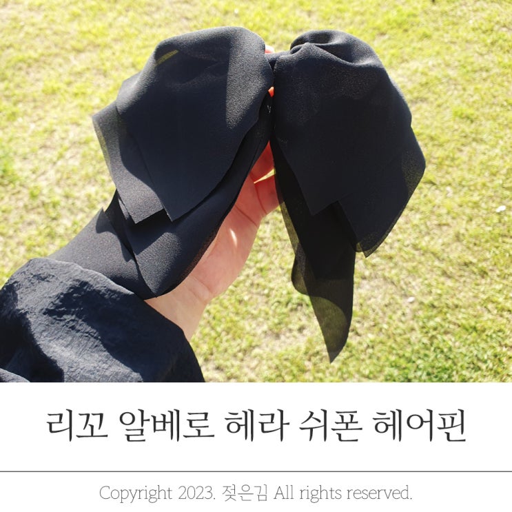 왕리본핀 30대도 소화 가능한 리꼬 쉬폰리본핀 왕리본핀 30대도 소화 가능한 리꼬 쉬폰리본핀