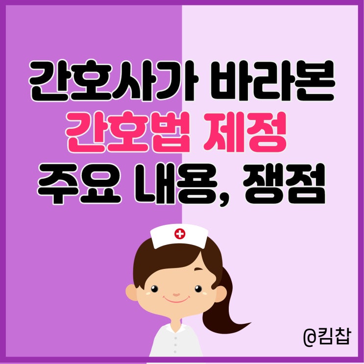  간호사 입장에서 본 간호법 제정 주요 내용과 쟁점
