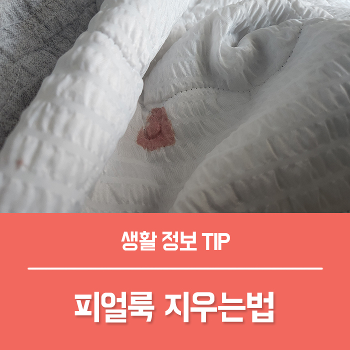  이불 핏자국 피얼룩제거, 코피 생리혈 지우기 찬물 비누 샴푸 산소계 표백제 총정리!