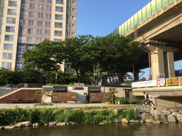  4km 달리기 - 5일
