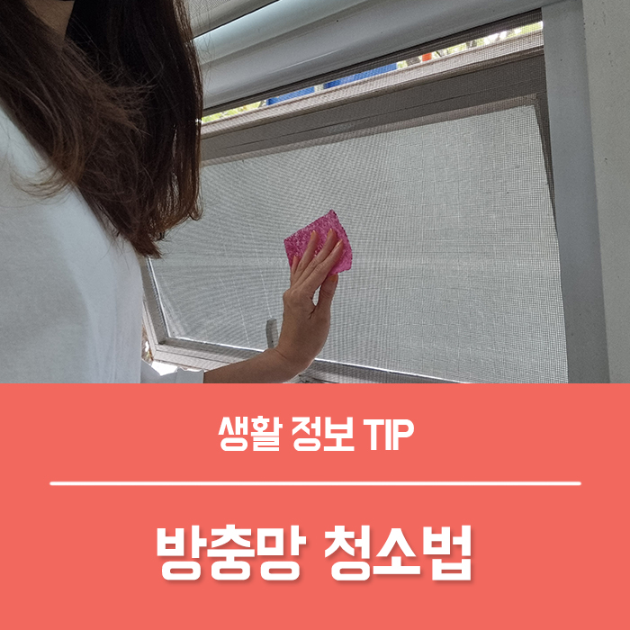  방충망 청소 방법 4가지, 현관 주방 창문 방충망 청소 5분 만에 끝!