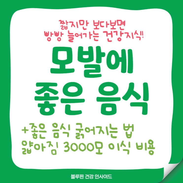  모발에 좋은 음식 굵어지는 법 얇아짐 3000모 이식 비용