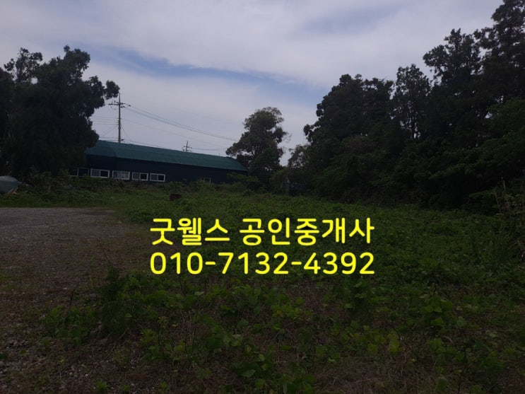  서귀포시 토평동 토지 매매