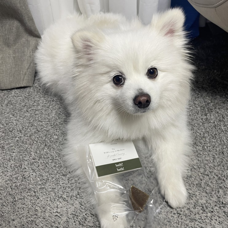  반려견 피부를 생각한 대나무 숙성  메이에르 바바솝 씨쏠트 강아지 발비누!