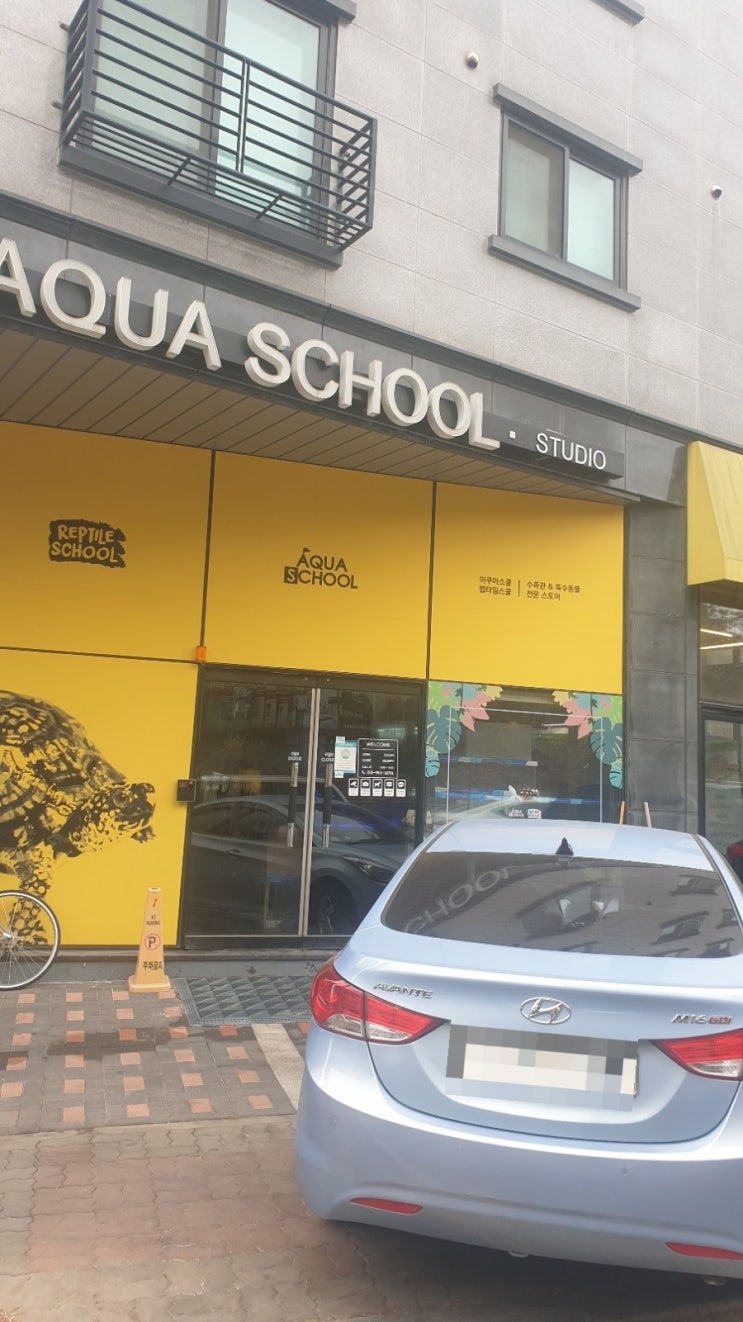  김포 아쿠아스쿨 수족관 AQUA SCHOOL