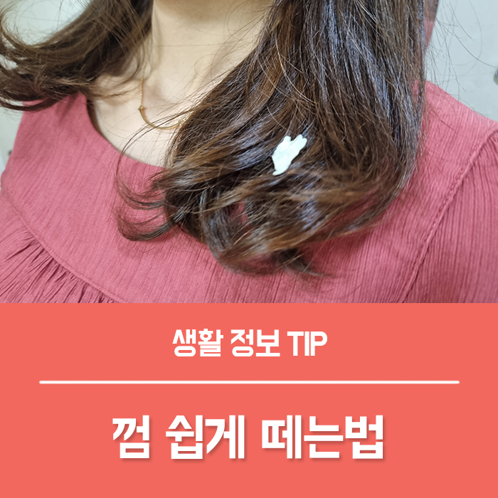  머리카락, 옷에 껌떼는법 BEST 5