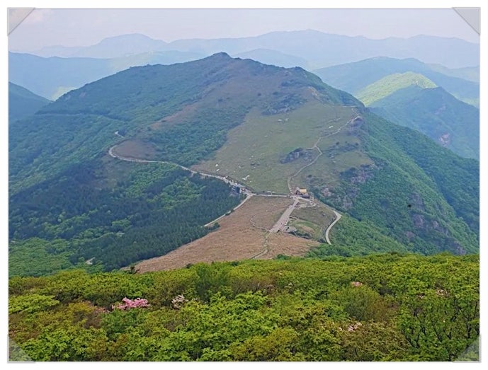 울산 관광지 가볼만한곳 2023 영남 알프스 숲페스타 일정 체험 여행코스 추천 : 네이버 블로그
