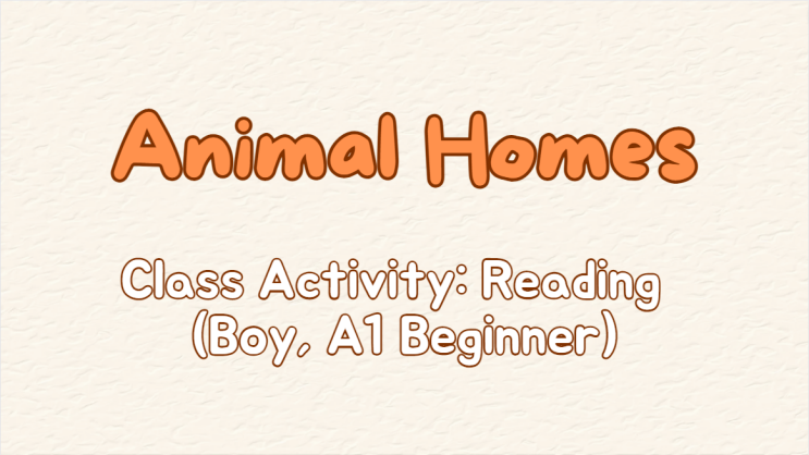  [새미영 수업 엿보기] 4. Animal homes 초등생 리딩 수업