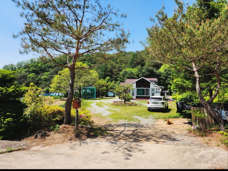 [강원도 시골집 매매] 탁 트인 전망 독립적인 숲속 집