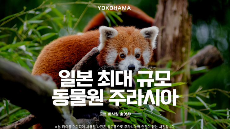  [도쿄 근교 여행] 일본에서 가장 큰 동물원, 요코하마 동물원 주라시아 (ズーラシア)