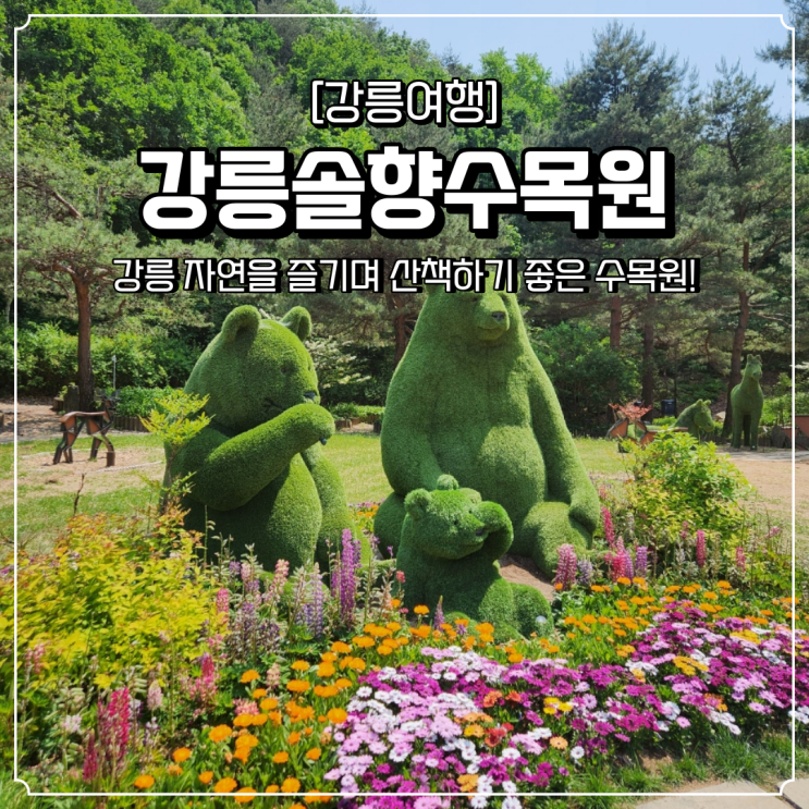  강릉 여행 산책하기 좋은 강릉솔향수목원