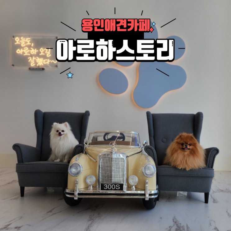 실내 야외 깔끔하고 놀기 좋은 용인애견카페 애견운동장 아로하스토리
