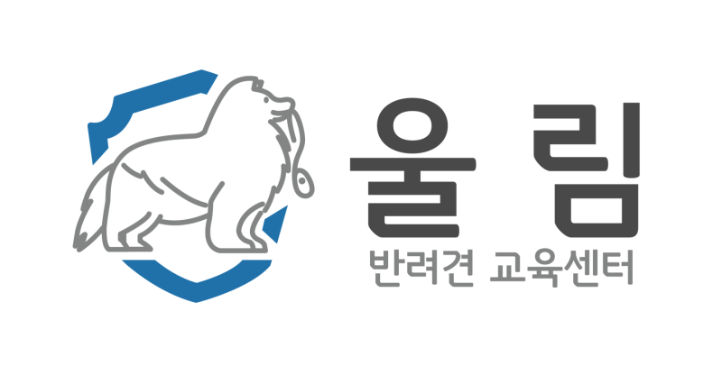 사진 4