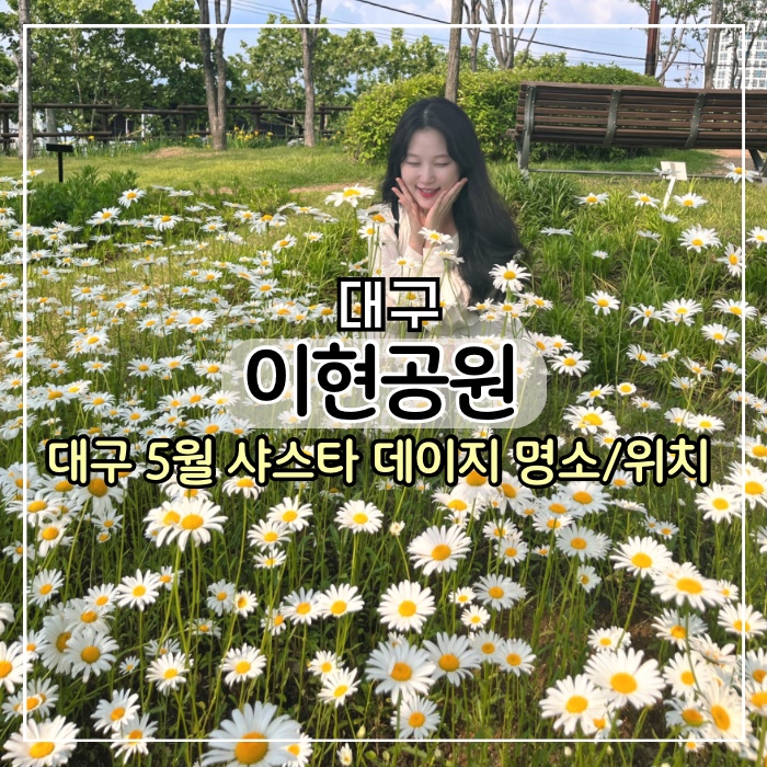 [대구 여행] 샤스타 데이지 명소 이현공원, 실시간 개화 5월 대구 여행 아이랑 가볼만한곳 꽃 구경