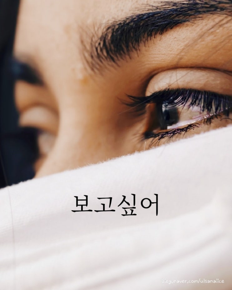  각국의 언어로 보는 사랑표현