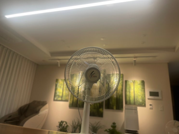 <내돈내산> 이래서 신일 선풍기, 신일선풍기 합니다 (10년 사용 추천 후기)