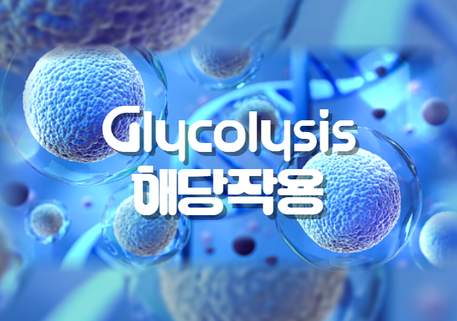  [생화학] Glycolysis 해당작용