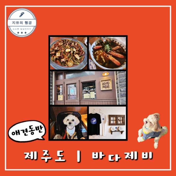  바다제비ㅣ제주도 한림 맛집 애견 동반 식당 내돈내산
