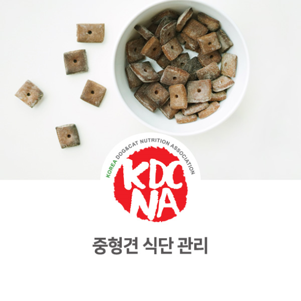  중형견 종류와 식이 습관 [한국반려동물영양협회/최수연펫푸드아카데미/강아지보양식/수원/이천/광주_1102]