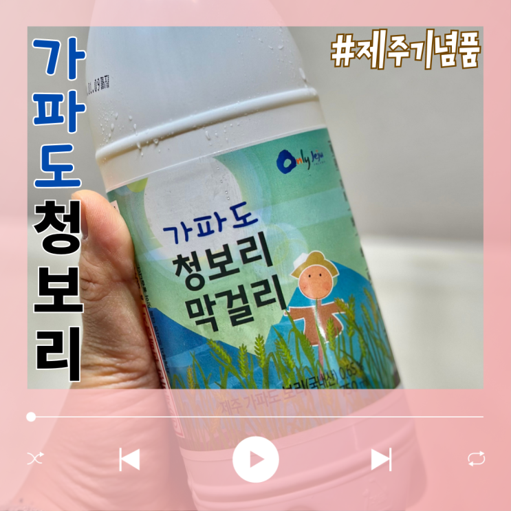  제주기념품 가파도 청보리 막걸리 24탄