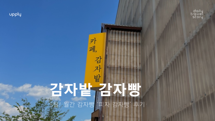  니 감자무봤나 강원도 로즈홍으로 만든 국내산 춘천 감자밭 감자빵