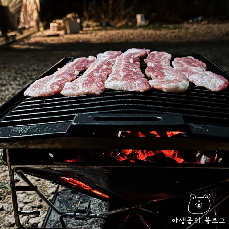  캠핑 바비큐그릴 불쇼가 적은 석쇠 디바디바520 그릴
