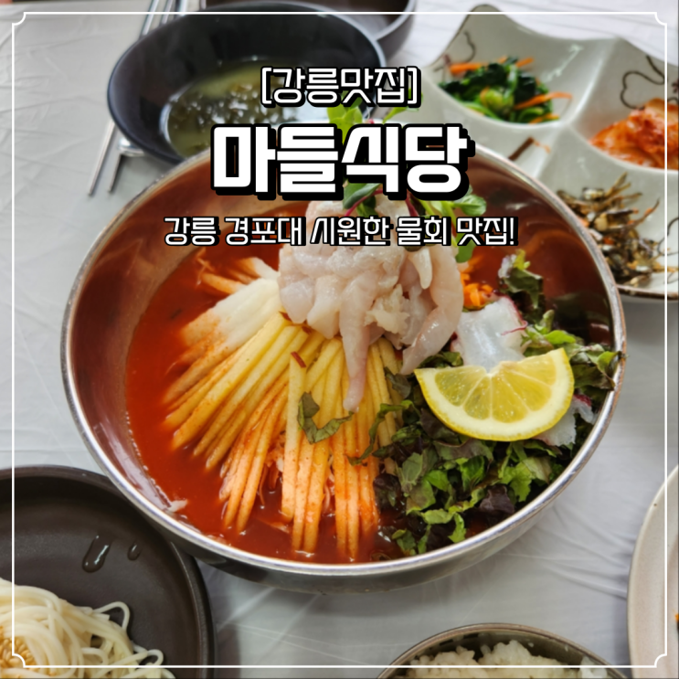  경포대 물회 맛집 마들식당