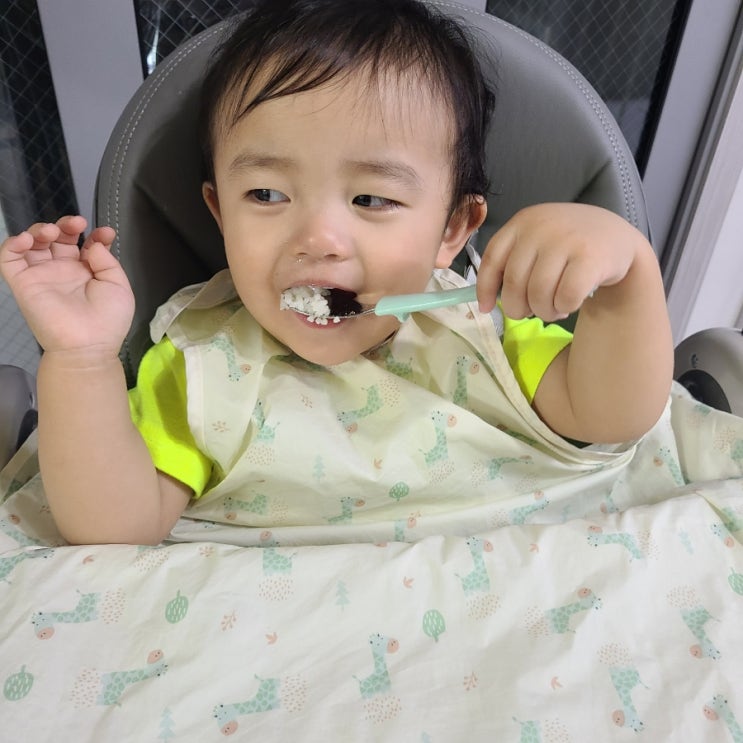  아기 단백질보충은 담은수단으로 면역력증진