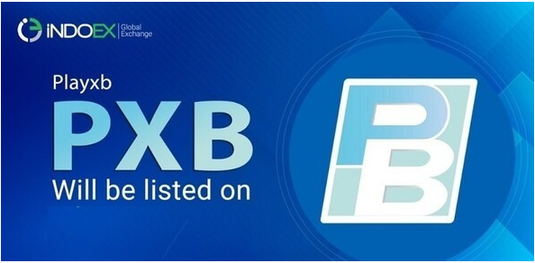  플레이엑스비 PXB 코인 투자피해는 이제 그만 STOP!!
