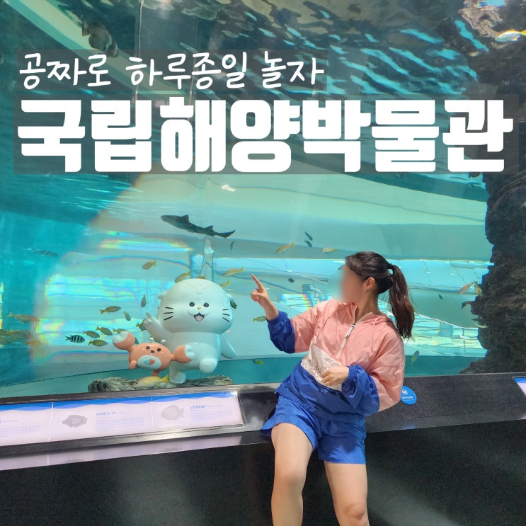  영도 여행 국립해양박물관 비오는날 부산 실내 아쿠아리움도 무료