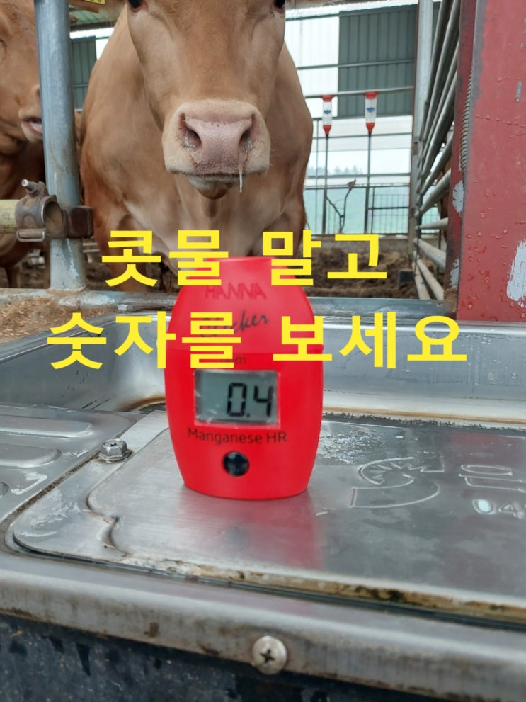  검은색 지하수, 경남 창녕 축사, 지하수 망간 정수 방법