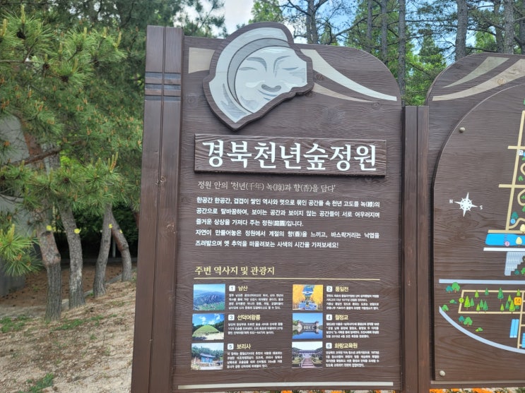 [경북천년숲정원] 경주 산책, 아이랑 가볼 만한 곳 (ft.부산 근교 천연숲 여행지)