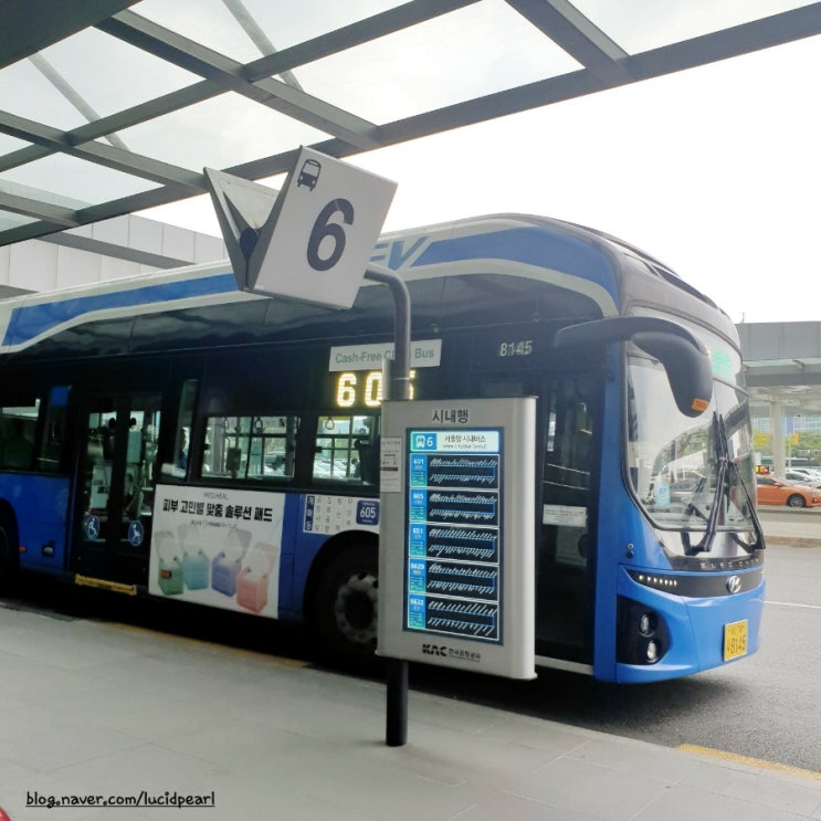제주혼자여행, 버스 타고 국내선 김포공항 가는 법 주의사항(공항리무진버스, 시외버스, 시내버스)