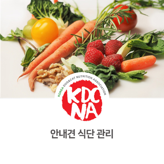  안내견의 식이관리 방법 [한국반려동물영양협회/최수연펫푸드아카데미/강아지화식/수원/고양/일산_1101]